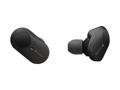【ほぼ未使用】WF-1000XM3 SONY WF-1000XM3 価格比較 - 価格.com