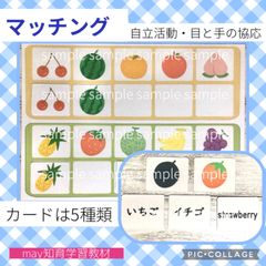 A4シート付き　果物知育カード　マッチング　神経衰弱