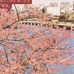 2025年最新】サニーデイ・サービス 東京の人気アイテム - メルカリ