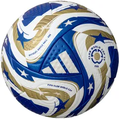 2002年W杯、決勝戦の芝！正規品！ 2002 FIFA ワールドカップ 決勝の