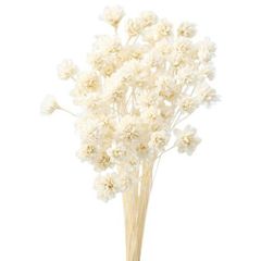 Item thumbnail for item 8536ab30-677f-4874-93e1-04892426ce28