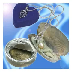 缶パールネックレス 幸せを呼ぶ自分だけの真珠 [ゆうパケット発送、送料無料]