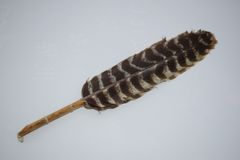 お*ん様 茶道具　白鳥　つかみ羽箒　羽箒　岡芳斎 造 お*ん様 茶道具 白鳥 つかみ羽箒 羽箒 岡芳斎 造