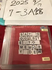 DYGL「Say Goodbye to Memory Den」新品未使用 DYGL / Say Goodbye to Memory Den | HOLIDAY! RECORDS DISTRO