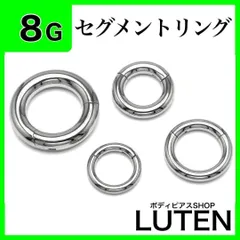 8G　セグメントリング　シルバー　ヒンジ付き　ワンタッチ　セグメントクリッカー　拡張　ハイゲージ　フープ　イヤーロブ　ヘリックス　軟骨　耳たぶ　金アレ対応　つけっぱなし　高品質　サージカルステンレス　ボディピアス　LUTEN　ルテン
