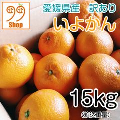 愛媛県産 伊予柑 15kg 2199円 訳あり家庭用 柑橘