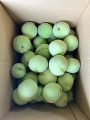 2025年最新】山梨県産若桃の人気アイテム - メルカリ 