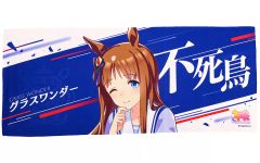 ウマ娘 応援タオル グラスワンダー 秋公演 ライブグッズ - メルカリ