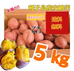 安納芋種子島産　プチ2sサイズ 5kg さつまいも　安納芋　紅　15