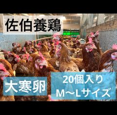 10個入り】佐伯養鶏の朝採れ平飼い卵(大分県産) - メルカリ