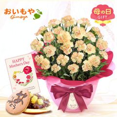 【おいもや公式】母の日限定 5号 カーネーション【ルナドリーム】 どら焼き スイーツ 和菓子 お菓子 鉢植え プレゼント 生花 花 黄色 イエロー おしゃれ かわいい (お届け時期:5/5～11のいずれか)