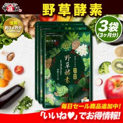 ●おまけ付き● ＼【徳用】90日分まとめ買い半額！／133種類の植物発酵エキス＋11種類のビタミン＋植物性乳酸菌 （約3ヵ月分）【甲羅組】【祖の食庵】【サプリ】