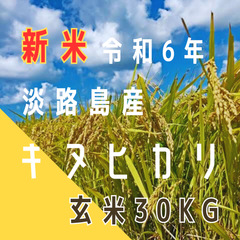 新米 令和6年産 キヌヒカリ  玄米30キロ 淡路島産 産地直送