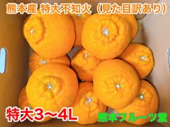 見た目訳あり！人気生産者！熊本産産不知火【優品3〜4L大サイズ約4.5k箱込】