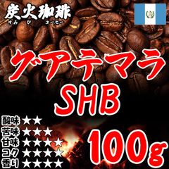 【炭火コーヒー】グアテマラSHB 100g コーヒー豆 中深煎り 炭火焙煎 自家焙煎コーヒー豆 グァテマラ