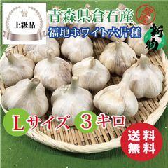 【上級品】青森県倉石産にんにく福地ホワイト六片種 Lサイズ 3kg