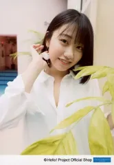 和田桜子 こぶしファクトリー 全身タペストリー 美品 和田桜子の通販