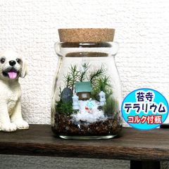 京都 苔寺【苔テラリウム・手作りキット一式】コルク付きビン