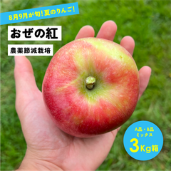 優しい甘さの果汁が溢れる！ 8月収穫 幻のリンゴ 「おぜの紅3キロ箱A品B品ミックス」長野県産 安曇野 信州産 幻
