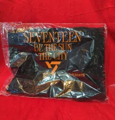 SEVENTEEN BE THE SUN JAPAN DVD トレカ BE THE SUN JAPAN Blu-ray DVD トレカ 26枚 SEVENTEEN WORLD
