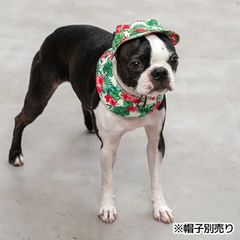 SOLGRA　クールネック　Mサイズ