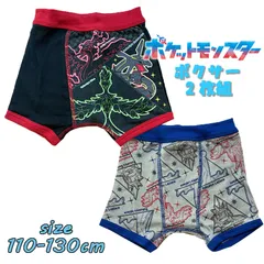 ポケットモンスター ポケモン(六英雄) ボクサーブリーフ 2枚組 前閉じ インナー 下着(35673)
