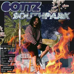Gottz AQUA LP レコード - メルカリ