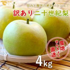 【訳あり】鳥取県産　二十世紀梨　4kg
