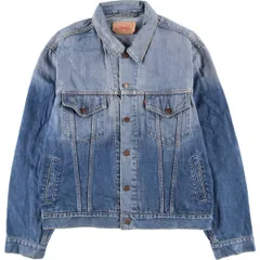 古着 リーバイス Levi's 70550-0487 ユーロモデル デニムジャケット Gジャン メンズL相当/eaa543969