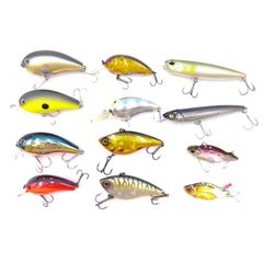 Item thumbnail for item 634ffbd0-9549-4c04-8145-fe90190e513f