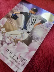 2016年BBMリバーシブルカード　　　　　　　　　新品未使用大谷翔平　坂本勇人 大谷翔平 坂本勇人 2016 BBM CROSS FREEZE トレカ 非売品 - メルカリ