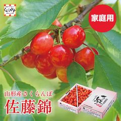 ＼신발매! 예약 개시!/많은 야마가타 사랑을 담은 붉은 보석[송료 무료][산지 직송]야마가타산 체리 사쿠니보 사토 니시키 가정용 장미 포장 1kg[사토 니시키 1kg]6월 중순~7월 상순경 발송 예정