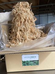 水苔 One Mile Moss ニュージーランド産水苔 AAAAA 500g - メルカリ