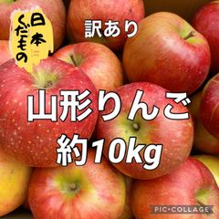 訳あり　山形りんご　サイズおまかせ　箱重量込み約10kg　地域限定配送