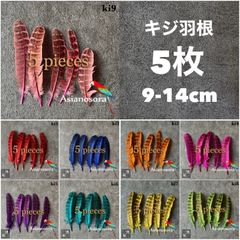 ◼️【kiキジ各色】5枚 鳥の羽根 フェザー 素材 パーツ 羽 羽根 インテリア 装飾 天然 染め パーツ 素材