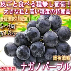 【予約：8/20～9/10予定】ナガノパープル 種無し葡萄 約1.5kg 2～3房 長野県産 贈答規格 大房限定 JA共撰品 特産品の高級フルーツ！皮ごと食べる大粒の黒ぶどう ブドウ