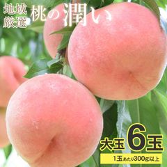 【7月7日から順次ご発送】【 桃 秀品 大玉 1玉300ｇ以上 6玉 】 桃 予約 送料無料 「潤い」桃 秀品 桃 6玉 大玉 300g 以上 和歌山県 和歌山 山梨 山形 福島 桃 もも モモ ギフト プレゼント ご自宅用 果物 くだもの フルーツ