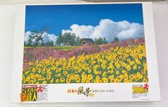 【中古】日本の風景【花】美瑛の花畑ー北海道　超上級者向パズル パズルの調達人®