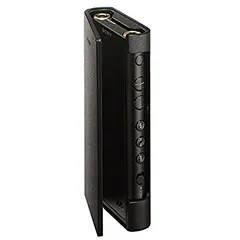 SONY WALKMAN NW-ZX300本体64GB+純正ケース SONY WALKMAN NW-ZX300本体64GB+純正ケース