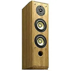 週末までの限定価格‼️】パイオニアピュアモルトスピーカーVP