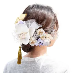 【全商品送料無料!!】卒園式 披露宴 入学式 お祭り 発表会 18点セット 飾り ヘア 浴衣 おしゃれ タッセル リボン ヘアアクセサリー 上品 和装小物 着物 振袖 袴 (シャンペン) 結婚式 髪飾り 卒業式 成人式