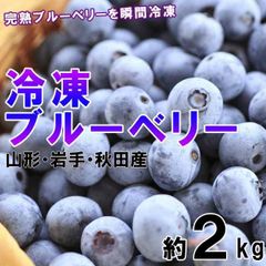 島根県産 冷凍 ブルーベリー 4kg 栽培期間中、農薬・化学肥料不使用