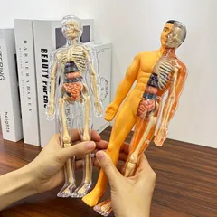 2025年最新】解剖学 教科書の人気アイテム - メルカリ