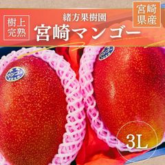 農家直送】宮崎完熟マンゴー 9玉(約3.5kg) - メルカリ