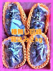 種無し巨峰３kgいみゅ様専用クール便
