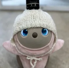 2025年最新】lovot 帽子の人気アイテム - メルカリ