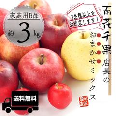 青森県産 " 店長おまかせミックス " りんご【家庭用B品3kg】【送料無料】【農家直送】林檎 リンゴ