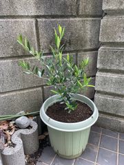 value(バリュー)アルミ 半寸胴鍋 24cm 7.8L - メルカリ