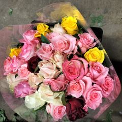 バラB級品  首曲がり  50センチ30本❨生花 切り花 花束❩