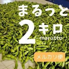 初だるま【常温】枝豆　まるっと全部もぎ☆お得な2キロ(1キロ×2袋)6/13収穫出荷　大川ファーム　産地直送